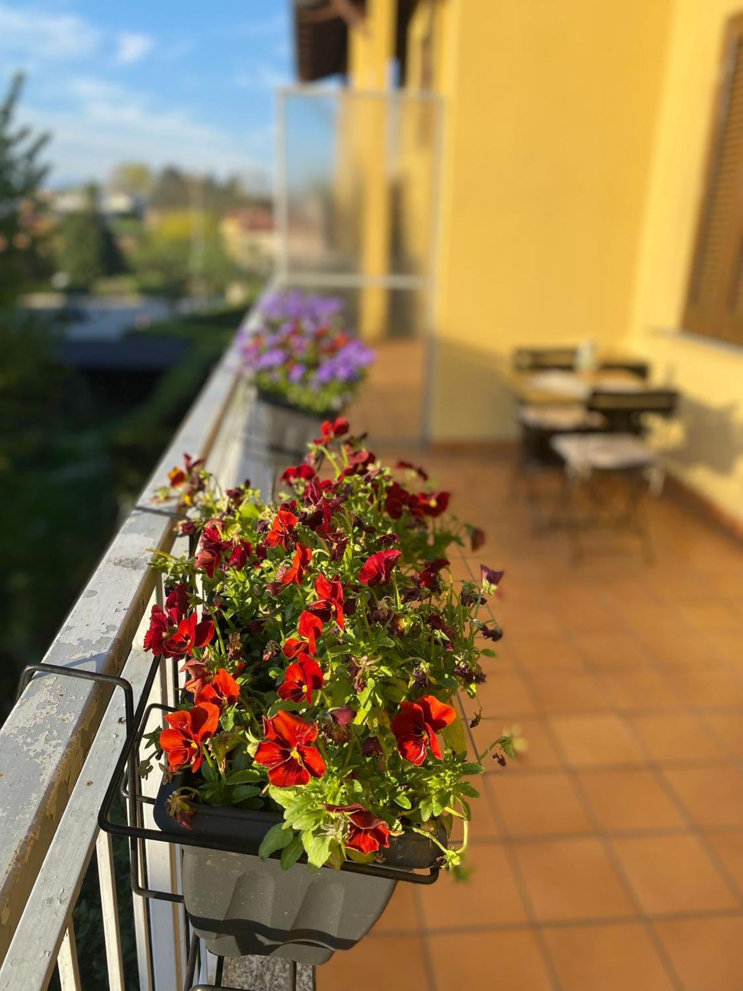 Appartamento Anna Lungo Fiume - Lago Maggiore Sesto Calende Exterior foto